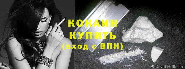 дмт Краснослободск