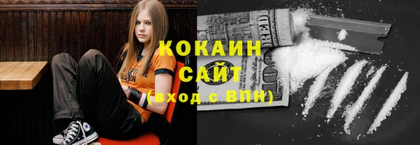 дмт Краснослободск