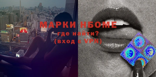 дмт Краснослободск